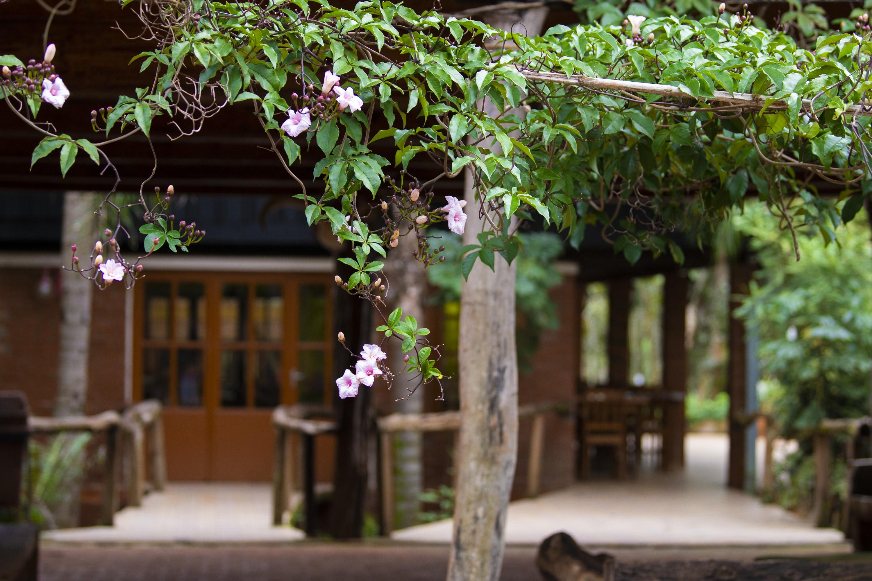 La Cautiva Iguazu Hotel Puerto Iguazu Exterior photo